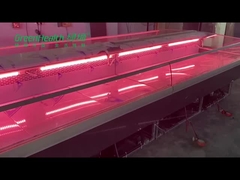 الفولاذ المقاوم للصدأ الأسماك الطازجة ديلي ثلاجة اللحوم لمحل الجزار