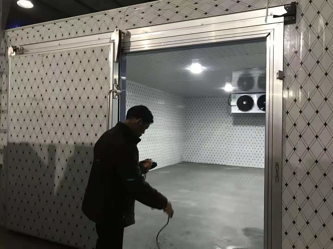 التحكم الرقمي في درجة الحرارة الإلكترونية غرفة تخزين باردة للخضروات الفواكه اللحوم والأسماك قابلة للتخصيص