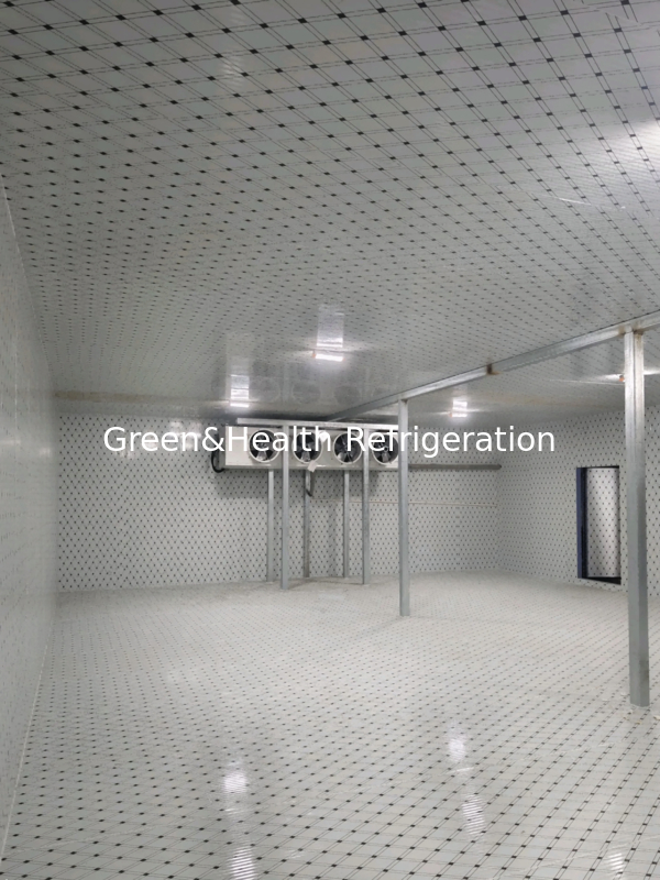 غرفة تبريد مخصصة متاحة بأحجام مختلفة ونطاقات درجات حرارة لتلبية متطلباتك الفردية