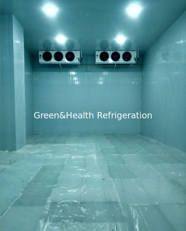 غرفة تبريد مخصصة متاحة بأحجام مختلفة ونطاقات درجات حرارة لتلبية متطلباتك الفردية