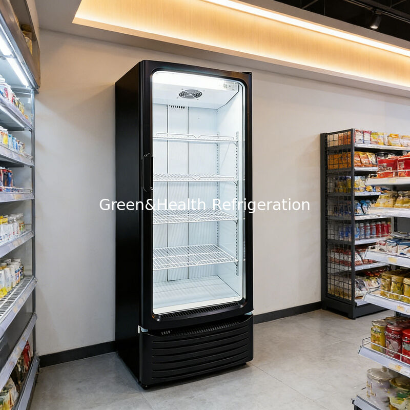 255L Volume Commercial Display Cooler with Fan Cooling and Auto Defrost for Beverage Storage
