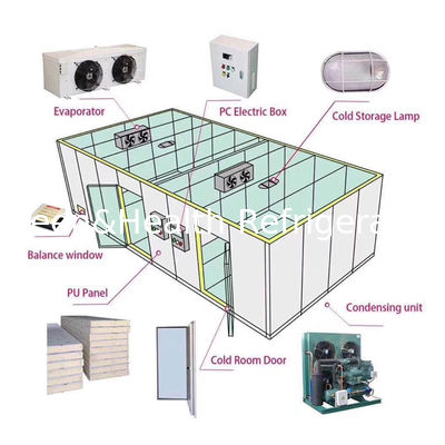 غرفة التخزين البارد من السعة الصغيرة إلى الكبيرة لتطبيقات مختلفة