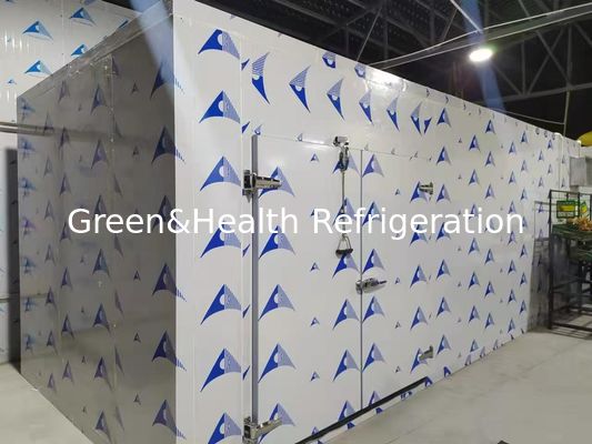 غرفة باردة فعالة من حيث الطاقة مع ألواح PU عالية الأداء