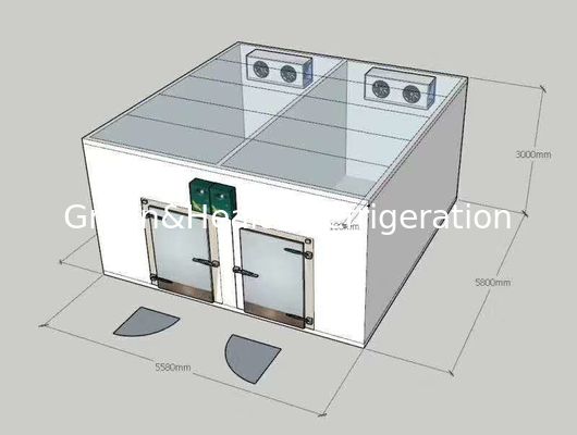 المشي في الفريزر المبردات المزدوجة ذات درجة الحرارة المزدوجة / الغرفة الباردة